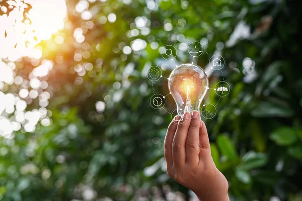 Hand Hält Glühbirne Gegen Die Natur Symbole Energiequellen Für Erneuerbare — Stockfoto