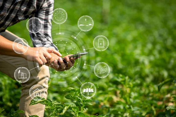 Çiftçinin Elleri Tarım Teknolojisi Çiftçisi Tablet Modern Teknoloji Kavramı Tarımı — Stok fotoğraf