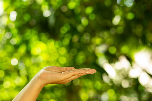 stock image Technology, hand holding with environment Icons over the Network connection on green background.