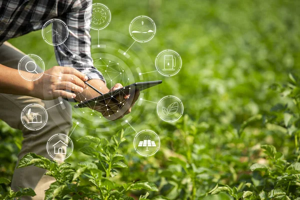 Hands Farmer Landtechnik Farmer Mann Mit Tablet Moderne Technologie Konzept — Stockfoto