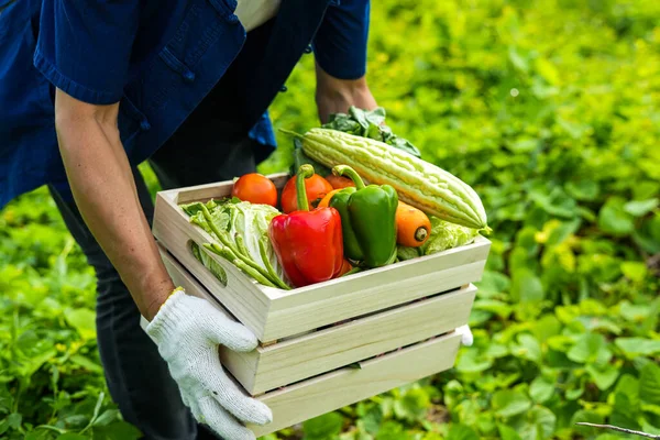 stock image young man holding a box of vegetables