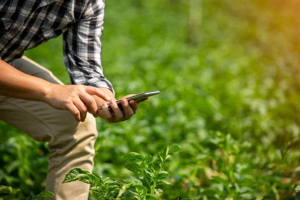 農家の手 タブレットを使用して農業技術農家の男性現代の技術概念農業 — ストック写真