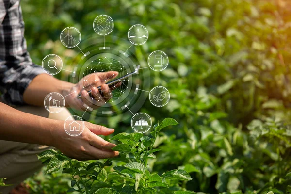 stock image Hands of farmer, Agriculture technology farmer man using tablet Modern technology concept agriculture.