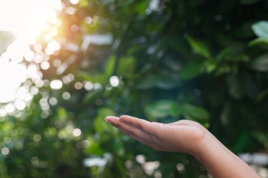 Çevre simgeleriyle el ele tutuşan teknoloji, yeşil arkaplanda Ağ bağlantısı üzerinden