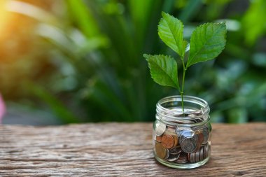 Doğa bir adamın eline bozuk para döker..