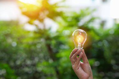 Doğadaki enerji kavramında büyüyen ampuller..