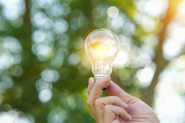 Doğadaki enerji kavramında büyüyen ampuller..