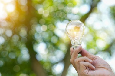 Doğadaki enerji kavramında büyüyen ampuller..
