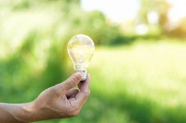 Doğadaki enerji kavramında büyüyen ampuller..