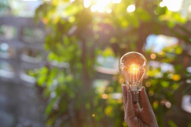 Doğadaki enerji kavramında büyüyen ampuller..