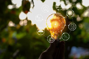 Doğadaki enerji kavramında büyüyen ampuller..