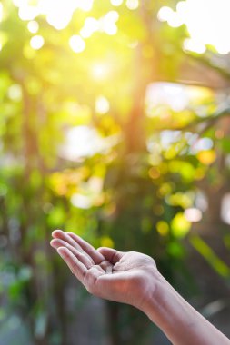Çevre simgeleriyle el ele tutuşan teknoloji, yeşil arkaplanda Ağ bağlantısı üzerinden