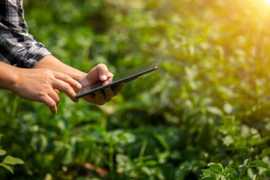 Çiftçinin elleri, tarım teknolojisi çiftçisi. Tablet modern teknoloji kavramı tarımı kullanan çiftçi..