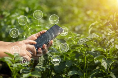 Çiftçinin elleri, tarım teknolojisi çiftçisi. Tablet modern teknoloji kavramı tarımı kullanan çiftçi..