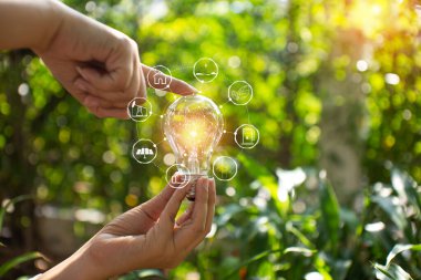 Doğadaki enerji kavramında büyüyen ampuller..