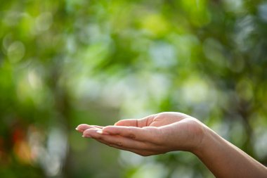 Çevre simgeleriyle el ele tutuşan teknoloji, yeşil arkaplanda Ağ bağlantısı üzerinden