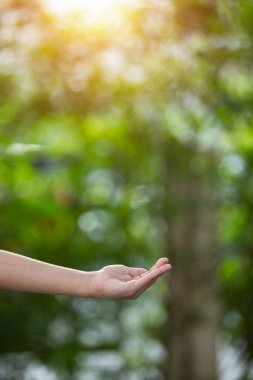 Çevre simgeleriyle el ele tutuşan teknoloji, yeşil arkaplanda Ağ bağlantısı üzerinden