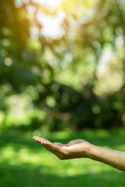 Çevre simgeleriyle el ele tutuşan teknoloji, yeşil arkaplanda Ağ bağlantısı üzerinden