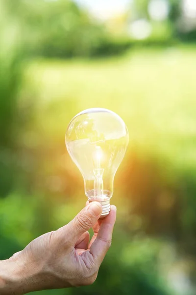 Main Tenant Ampoule Contre Nature Icônes Sources Énergie Pour Renouvelable — Photo