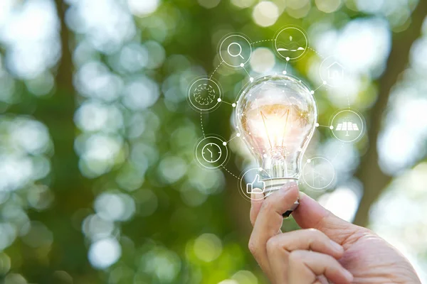 stock image hand holding light bulb against nature, icons energy sources for renewable,