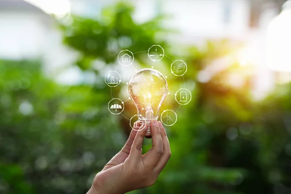 Stock image Light bulbs that grow, in the concept of energy in nature.