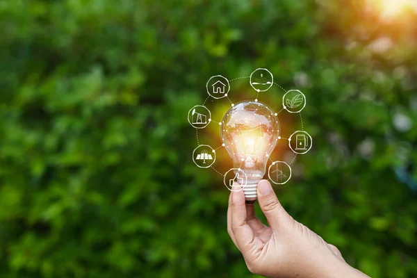 stock image Light bulbs that grow, in the concept of energy in nature.