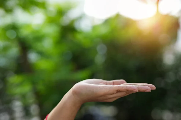 stock image Technology, hand holding with environment Icons over the Network connection on green background.