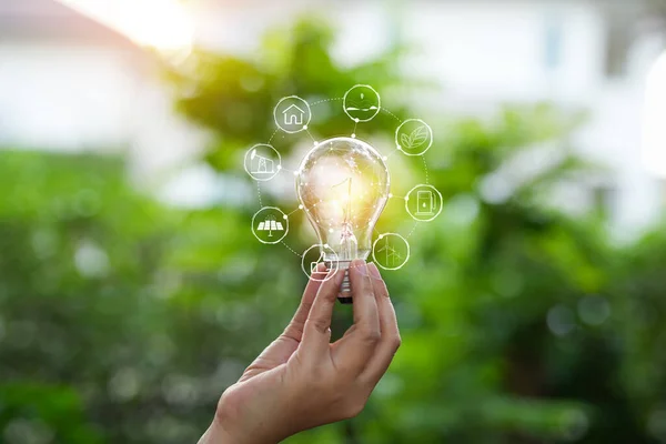 stock image Light bulbs that grow, in the concept of energy in nature.