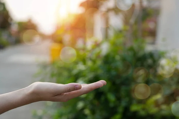 stock image Technology, hand holding with environment Icons over the Network connection on green background