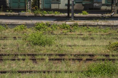 Eskimiş, paslı demiryolu rayları otlarla kaplı bir kaplama üzerinde..