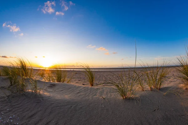 穏やかな夏の日没の間の海の海岸 — ストック写真
