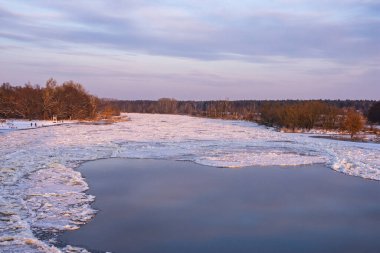 Güneşli bir kış gününde, buza bağlı nehir ve yüzen su. Kıyı ağaçlar ve çalılarla kaplı..