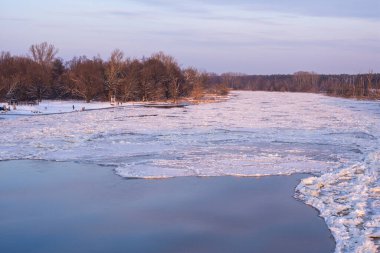 Güneşli bir kış gününde, buza bağlı nehir ve yüzen su. Kıyı ağaçlar ve çalılarla kaplı..