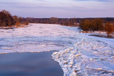 Güneşli bir kış gününde, buza bağlı nehir ve yüzen su. Kıyı ağaçlar ve çalılarla kaplı..