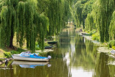 Güneşli bir günde kıyıda söğütler arasında kayıklar, yatlar ve motorlu tekneler var. Yaz.