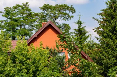 Güneşli bir günde yeşil ağaçlarla kaplı bir ev ya da bina. Yaz.