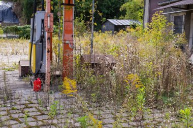 Old rusty gas station and dispensers abandoned and overgrown with vegetation on a sunny day. Summer.