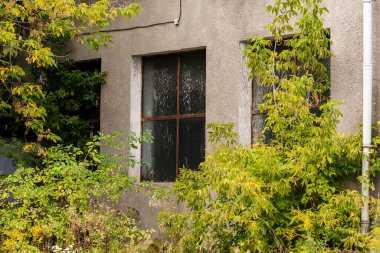 Abandoned and neglected building under a blue sky on a sunny day.