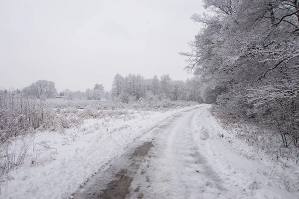 Winter snowy road on a gloomy day.