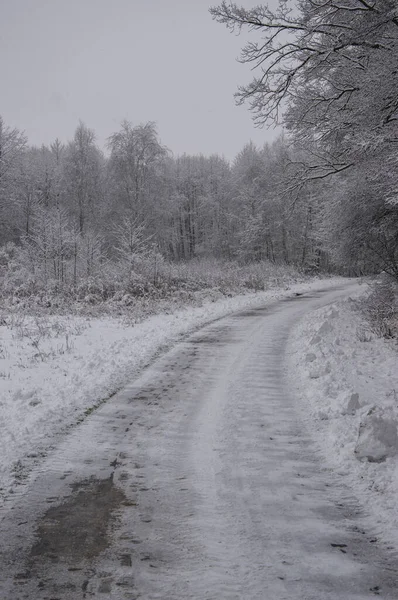 Winter snowy road on a gloomy day.