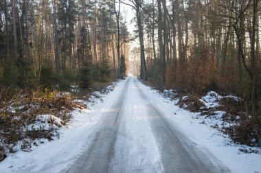 Snow-covered forest road in the rays of the setting sun.