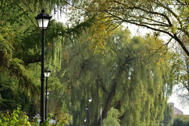 Autumn alley with old-fashioned lanterns in autumn colors on a slightly cloudy day. autumn.