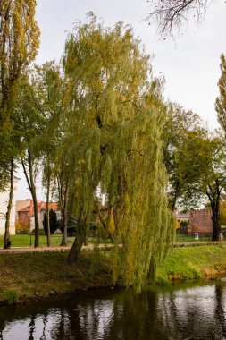 Historic defensive tower among green, weeping willows on a summer day. Summer.