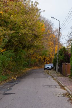 Quiet and peaceful street in the suburbs on a gloomy autumn day.