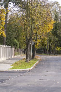 Quiet and peaceful street in the suburbs on an autumn sunny day.