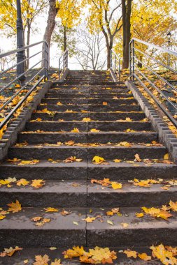 Stairs in an autumn park covered with yellow leaves on a clear autumn day.