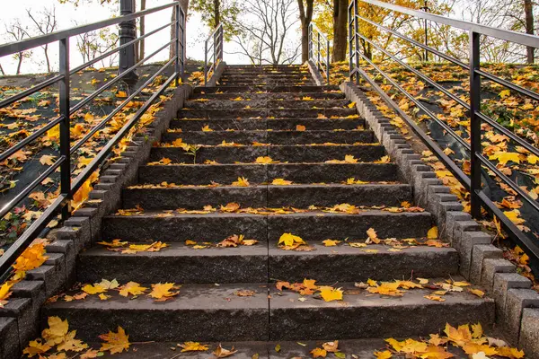 Stairs in an autumn park covered with yellow leaves on a clear autumn day.