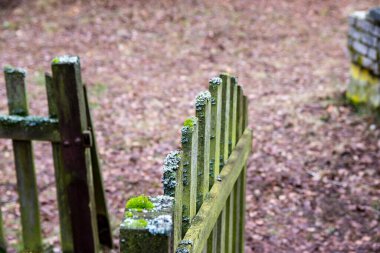 Eski binaların arasında, bir sonbahar gününde eski, yosunlu bir çit.