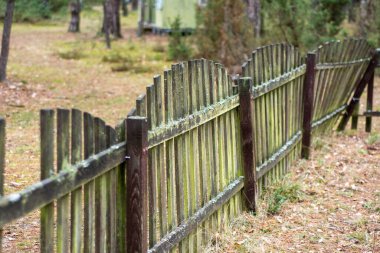 Eski binaların arasında, bir sonbahar gününde eski, yosunlu bir çit.