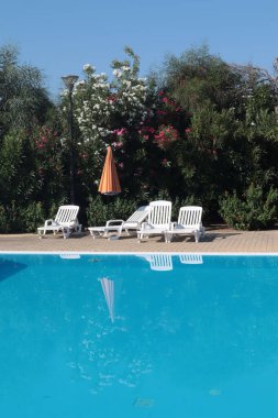 Güneşli bir yaz gününde yemyeşil bitkilerin ve zenginin zemininde berrak sularla dolu bir yüzme havuzu.. 